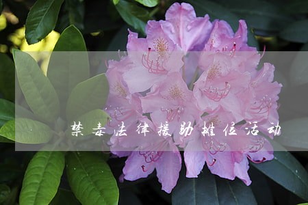禁毒法律援助摊位活动 禁毒法律援助摊位活动