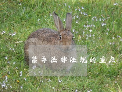 禁毒法律法规的重点 禁毒法律法规的重点