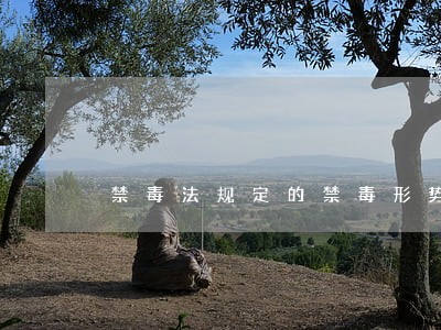 禁毒法规定的禁毒形势 禁毒法规定的禁毒形势