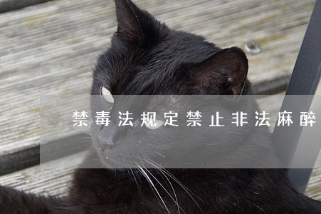 禁毒法规定禁止非法麻醉药品