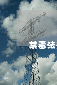 禁毒法规定组织开展什么工作