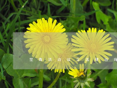 禁毒活动设立法律咨询台 禁毒活动设立法律咨询台