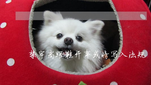 禁穿高跟鞋开车或将写入法规 禁穿高跟鞋开车或将写入法规