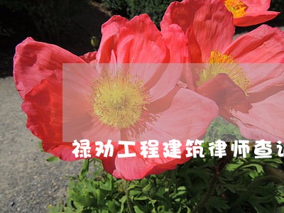 禄劝工程建筑律师查询 禄劝工程建筑律师查询