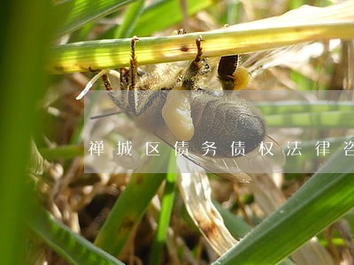 禅城区债务债权法律咨询律师 禅城区债务债权法律咨询律师