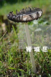 禅城区债务律师微信咨询 禅城区债务律师微信咨询