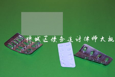 禅城区债务追讨律师大概多少钱 禅城区债务追讨律师大概多少钱