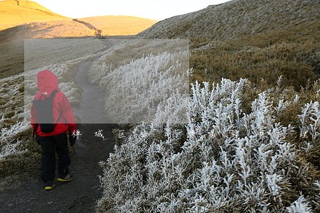 禅城区公司债务律师代理费 禅城区公司债务律师代理费
