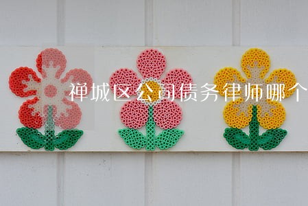 禅城区公司债务律师哪个好 禅城区公司债务律师哪个好