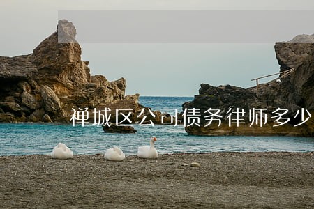 禅城区公司债务律师多少钱 禅城区公司债务律师多少钱