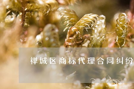 禅城区商标代理合同纠纷律师 禅城区商标代理合同纠纷律师