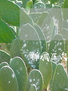 禅城区欠款官司律师推荐 禅城区欠款官司律师推荐