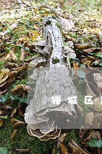 禅城区离婚债务律师起诉费用 禅城区离婚债务律师起诉费用