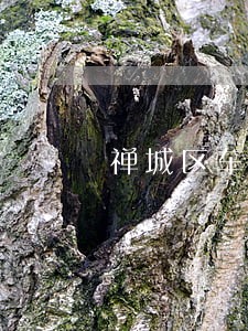 禅城区车位契税逾期滞纳金 禅城区车位契税逾期滞纳金