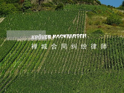 禅城合同纠纷律师 禅城合同纠纷律师
