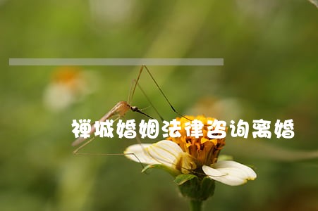 禅城婚姻法律咨询离婚 禅城婚姻法律咨询离婚