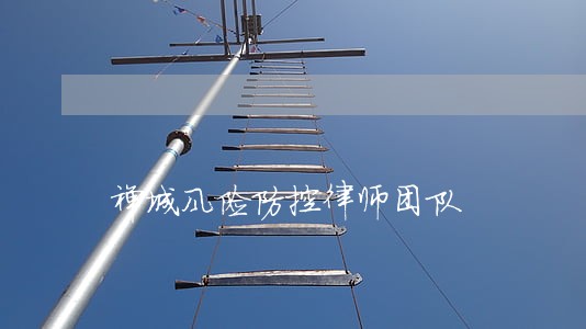 禅城风险防控律师团队 禅城风险防控律师团队