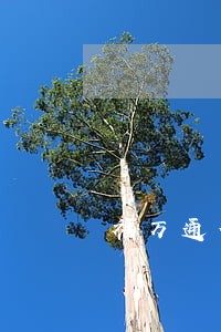 福万通信用卡逾期利息怎么算 福万通信用卡逾期利息怎么算