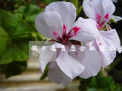 福万通普惠金融贷记卡逾期了 福万通普惠金融贷记卡逾期了