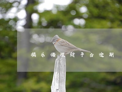 福乐猪理财平台逾期 福乐猪理财平台逾期