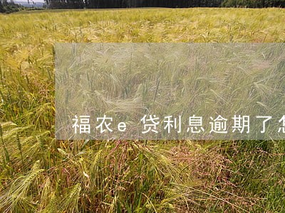 福农e贷利息逾期了怎么还 福农e贷利息逾期了怎么还