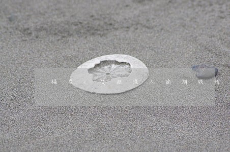 福农e贷担保人逾期钱借不出来 福农e贷担保人逾期钱借不出来