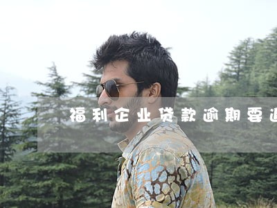 福利企业贷款逾期要追偿吗 福利企业贷款逾期要追偿吗