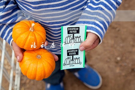 福利房律师 福利房律师