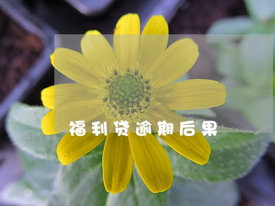 福利贷逾期后果 福利贷逾期后果