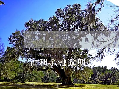 福利金融逾期会怎么样 福利金融逾期会怎么样