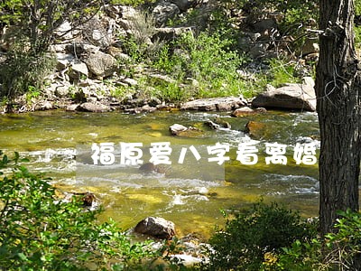 福原爱八字看离婚 福原爱八字看离婚