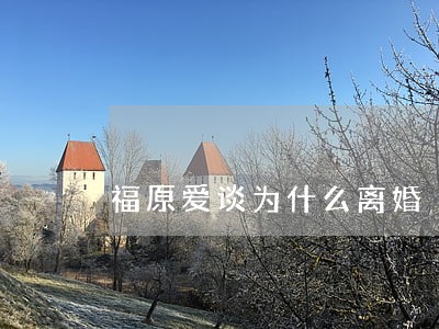 福原爱谈为什么离婚 福原爱谈为什么离婚