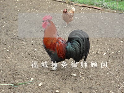 福城债务律师顾问 福城债务律师顾问
