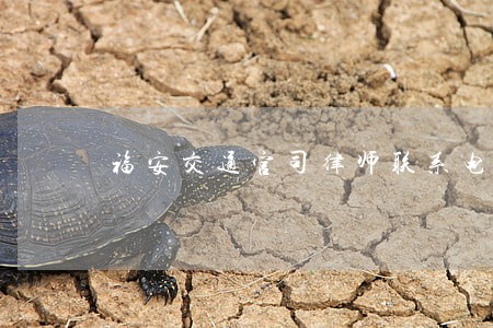 福安交通官司律师联系电话 福安交通官司律师联系电话