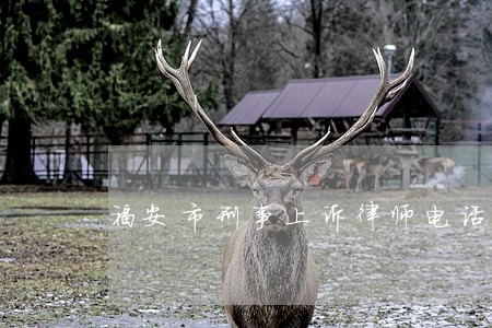 福安市刑事上诉律师电话咨询 福安市刑事上诉律师电话咨询