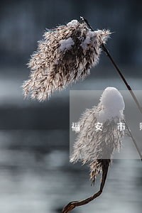 福安市财产继承律师哪里找 福安市财产继承律师哪里找