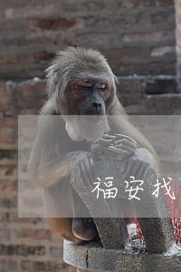 福安找离婚律师哪里找 福安找离婚律师哪里找