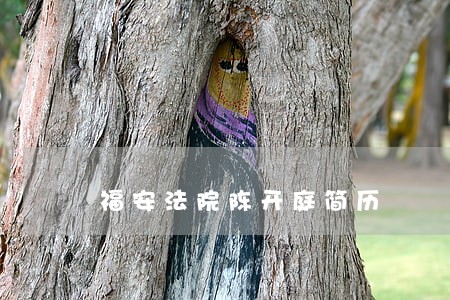 福安法院陈开庭简历 福安法院陈开庭简历