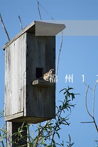 福州12345逾期办理 福州12345逾期办理