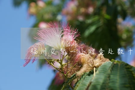 福州交警一小时查处数十起违法 福州交警一小时查处数十起违法