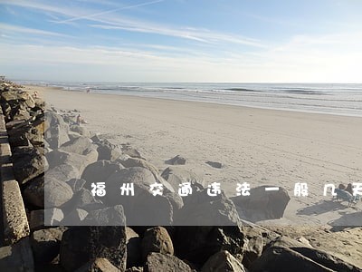 福州交通违法一般几天会公告 福州交通违法一般几天会公告