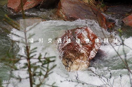 福州交通违法查询网址 福州交通违法查询网址