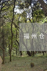 福州仓山借贷债务纠纷律师 福州仓山借贷债务纠纷律师