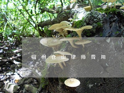 福州仓山律师费用 福州仓山律师费用