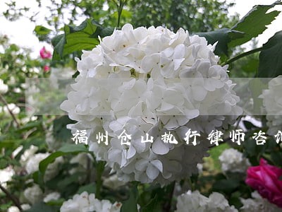 福州仓山执行律师咨询 福州仓山执行律师咨询