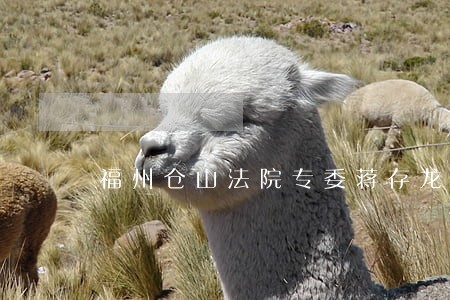 福州仓山法院专委蒋存龙 福州仓山法院专委蒋存龙