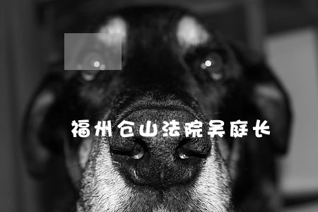 福州仓山法院吴庭长 福州仓山法院吴庭长