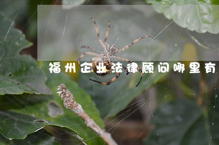 福州企业法律顾问哪里有 福州企业法律顾问哪里有