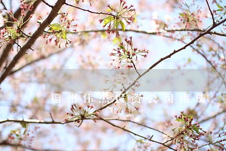 福州伟杰投资公司违法 福州伟杰投资公司违法