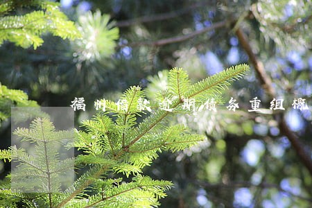 福州借款逾期债务重组概念 福州借款逾期债务重组概念